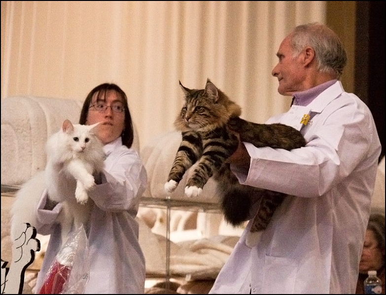 Podium 2.jpg - Podium